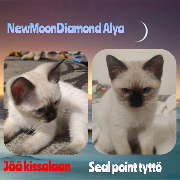 Alya