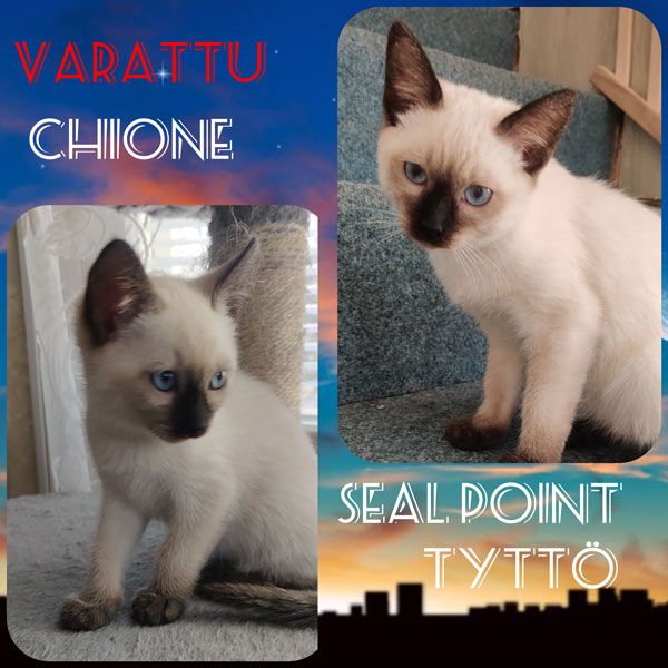 Chione