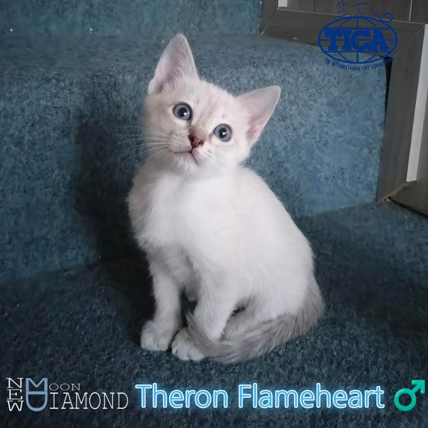 Theron1