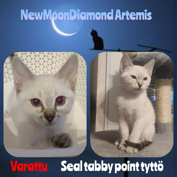 Artemis