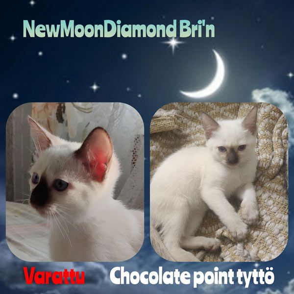 Bri'n
