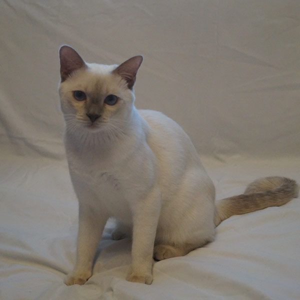 Ferdinand photo #5
